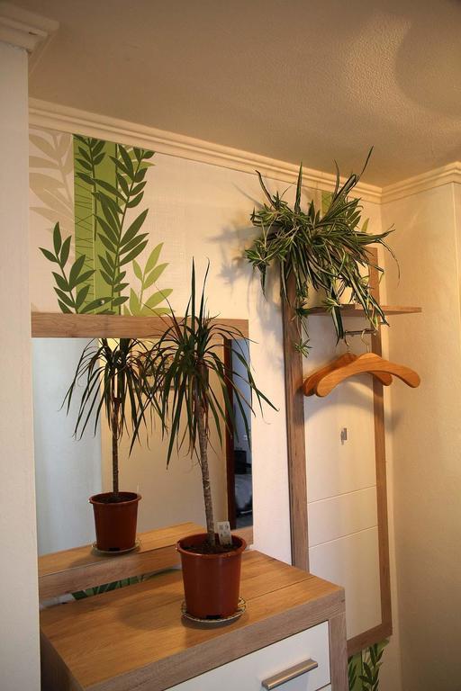 Haus Panoramaweg Apartment Sohren Room photo